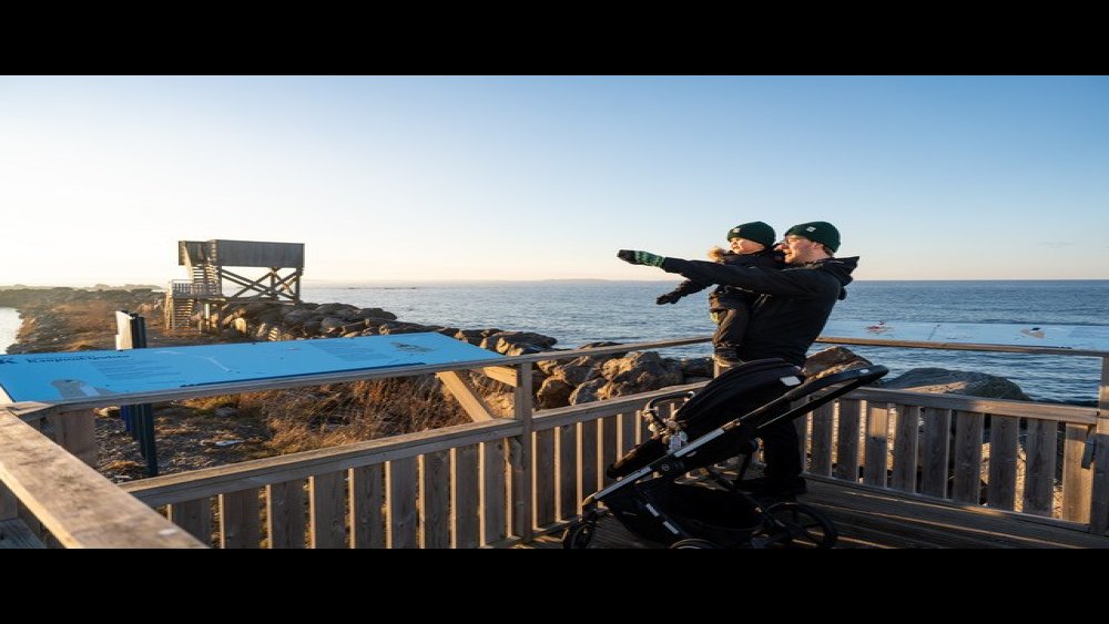 Kokkola - Urheilugaala UG2026 - Suomen liikkuvin kunta ehdokas